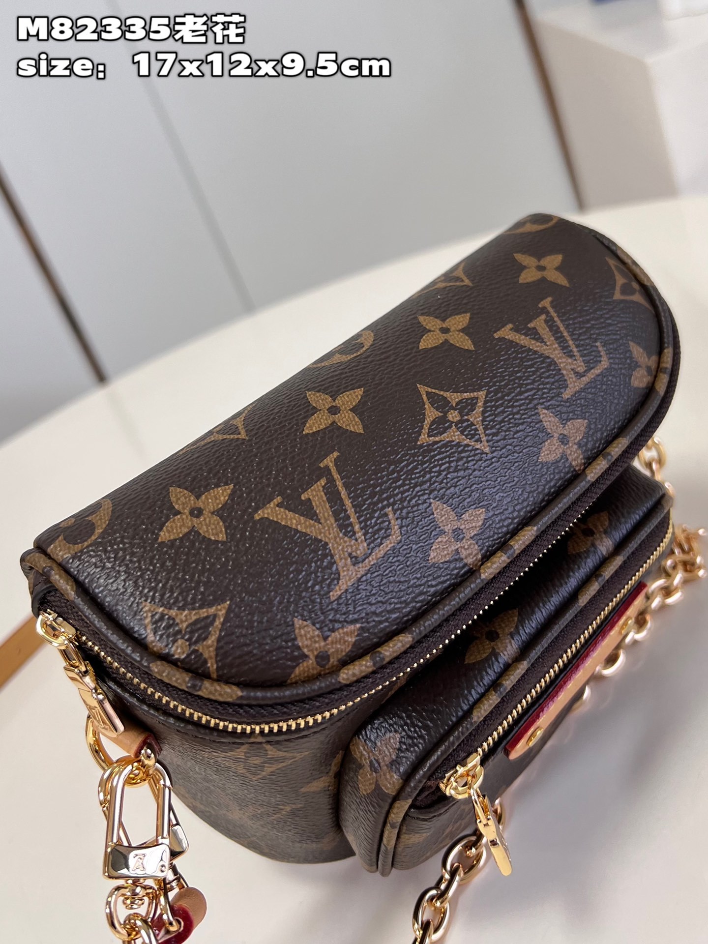 L Mini Bumbag Monogram