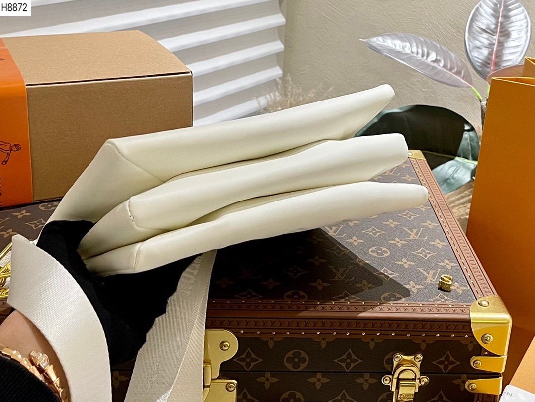 louis-new-arrival-coussin-bag-size-26-20-cm-6598