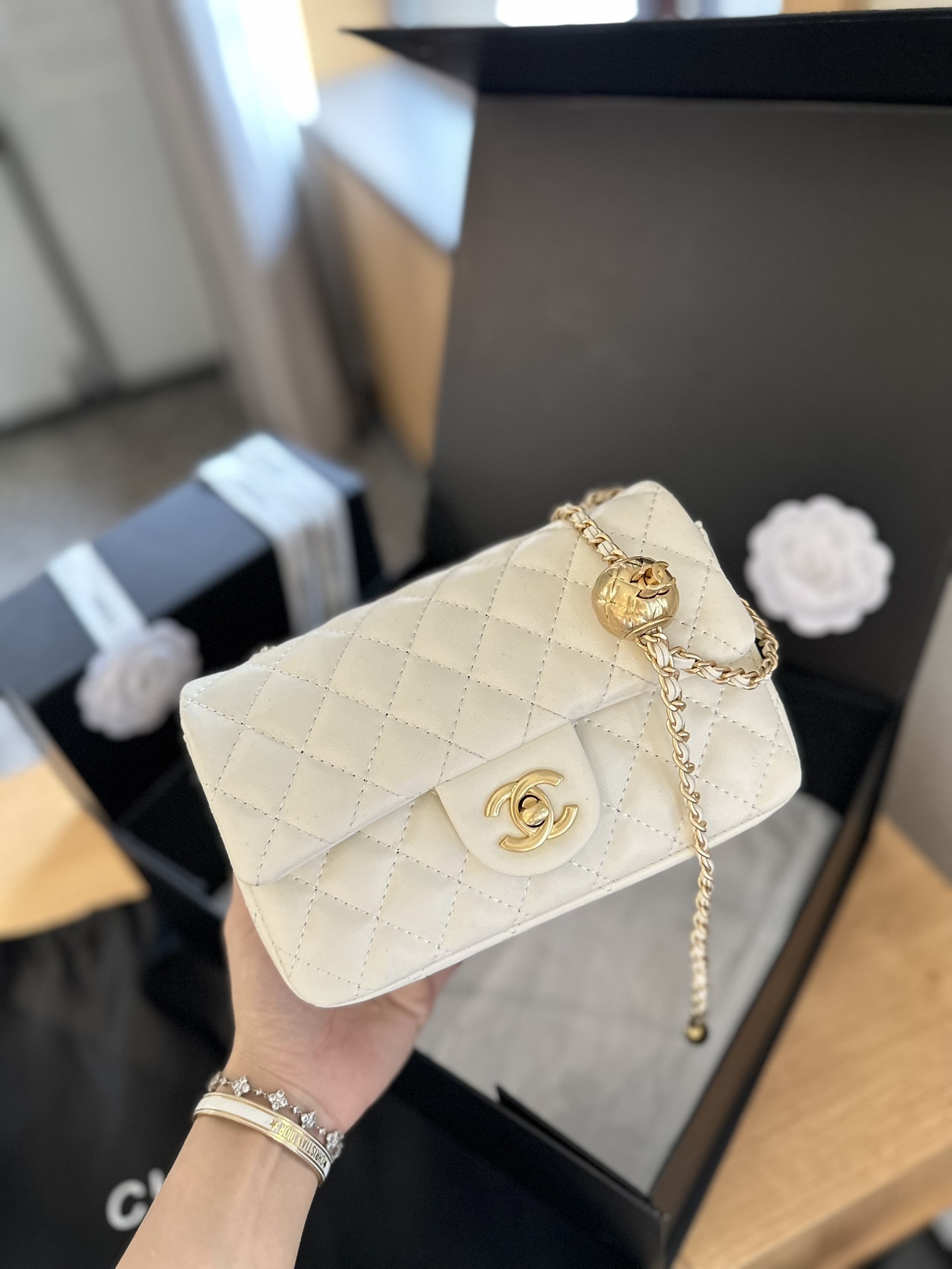 cc-new-arrival-bag-size-20-cm-5138