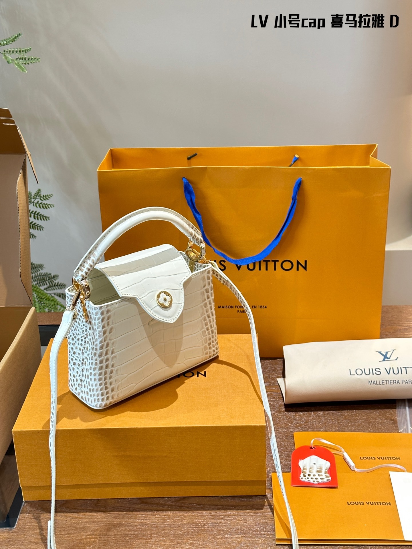 Louis Capucines new arrival bag size: 20 cm