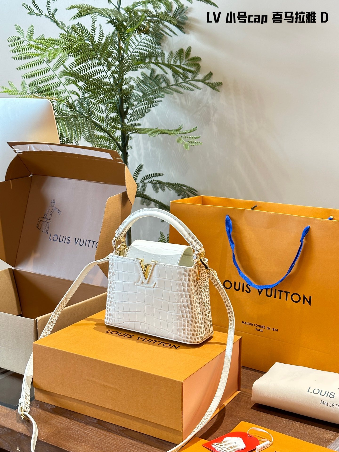 Louis Capucines new arrival bag size: 20 cm