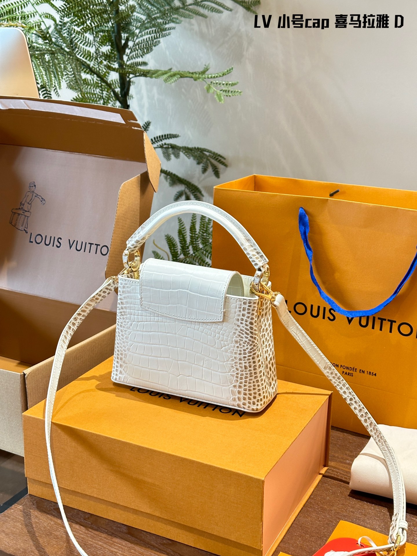 Louis Capucines new arrival bag size: 20 cm