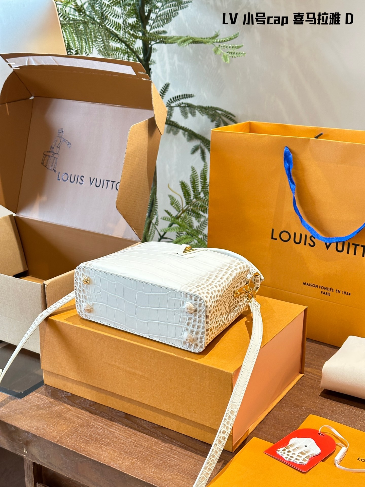 Louis Capucines new arrival bag size: 20 cm