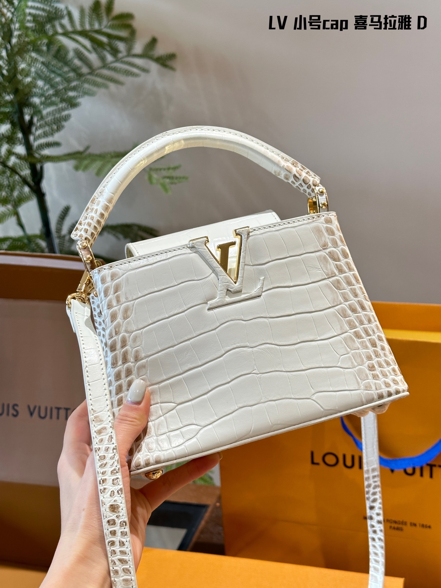 louis-capucines-new-arrival-bag-size-20-cm-7804