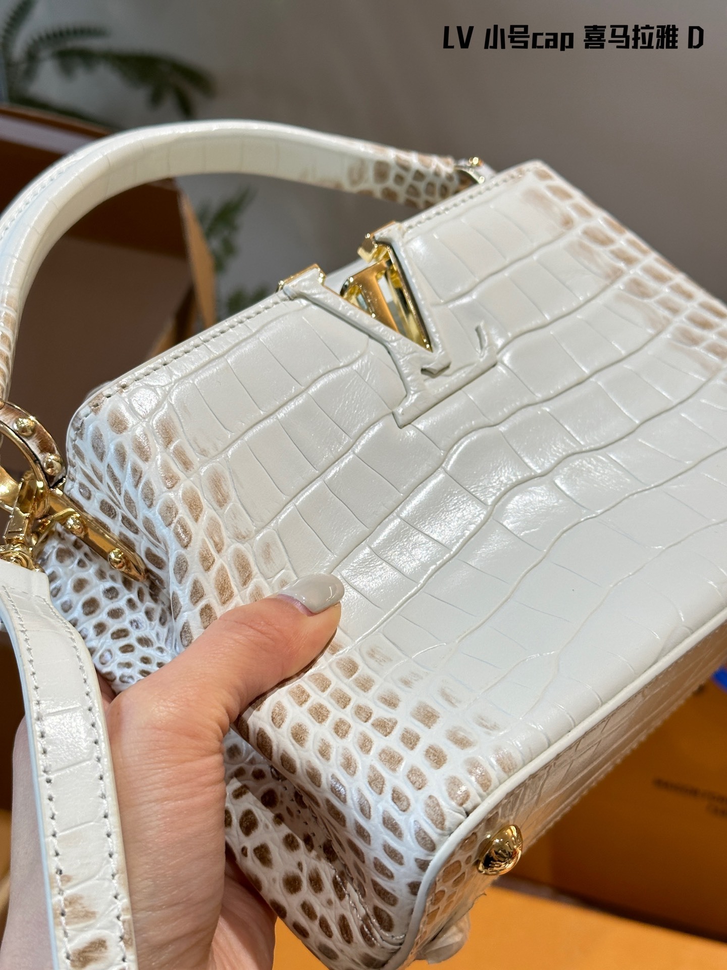 Louis Capucines new arrival bag size: 20 cm