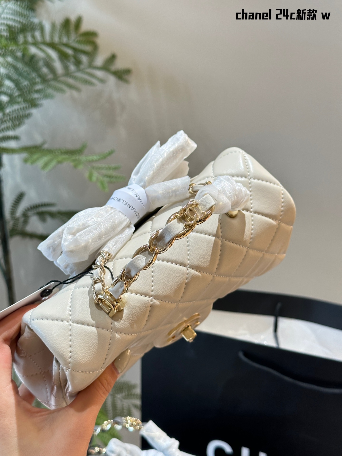 cc-handle-mini-cf-bag-size-20-12-6cm-5163