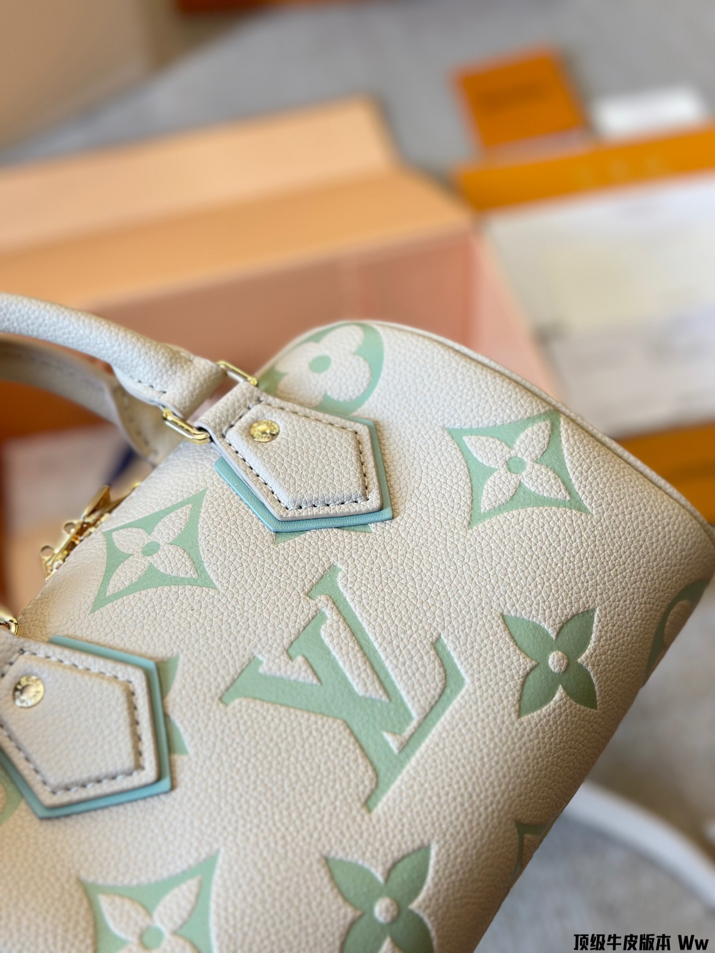 louis-new-arrival-speedy-bag-5776