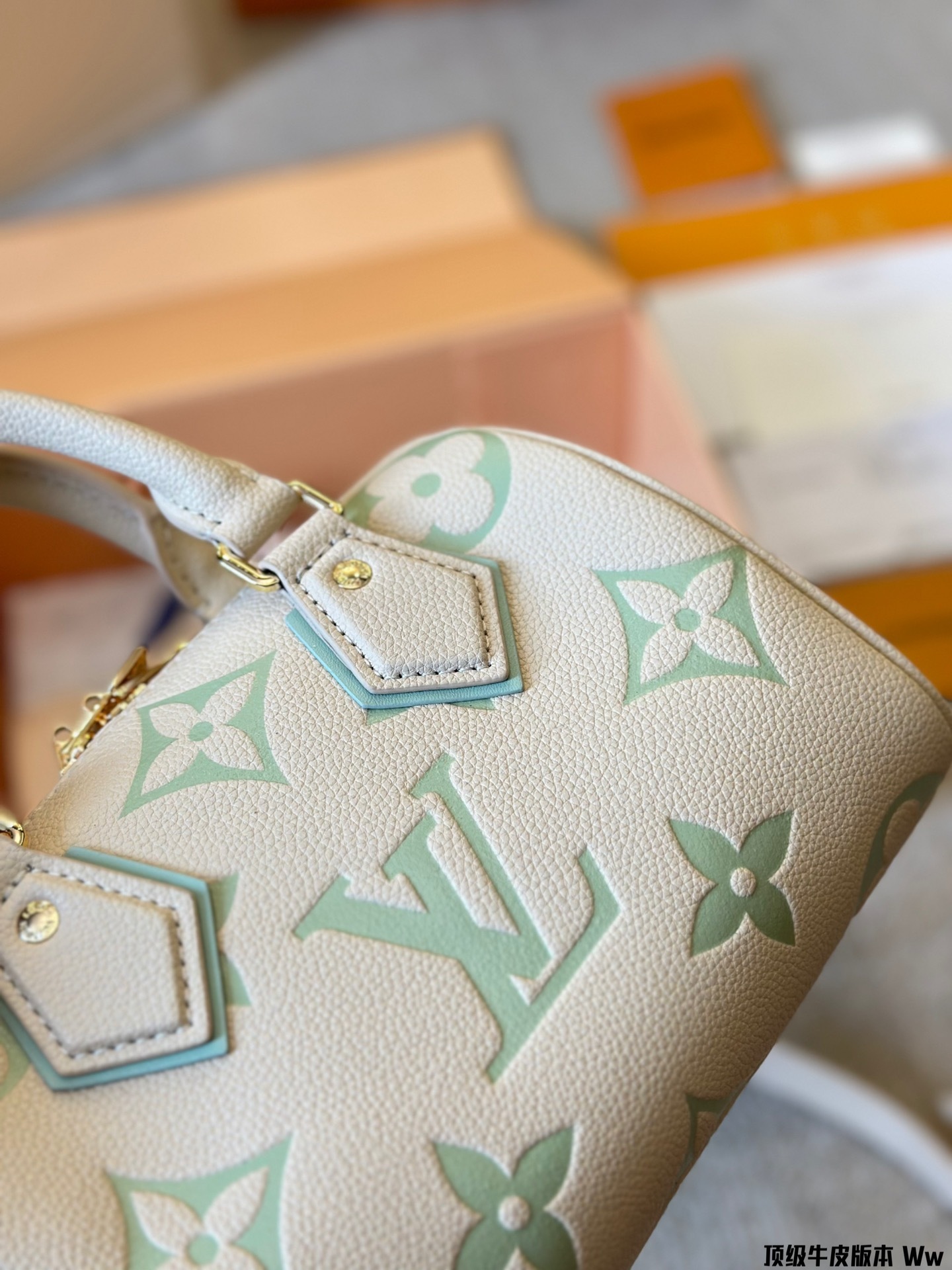 louis-new-arrival-speedy-bag-5776