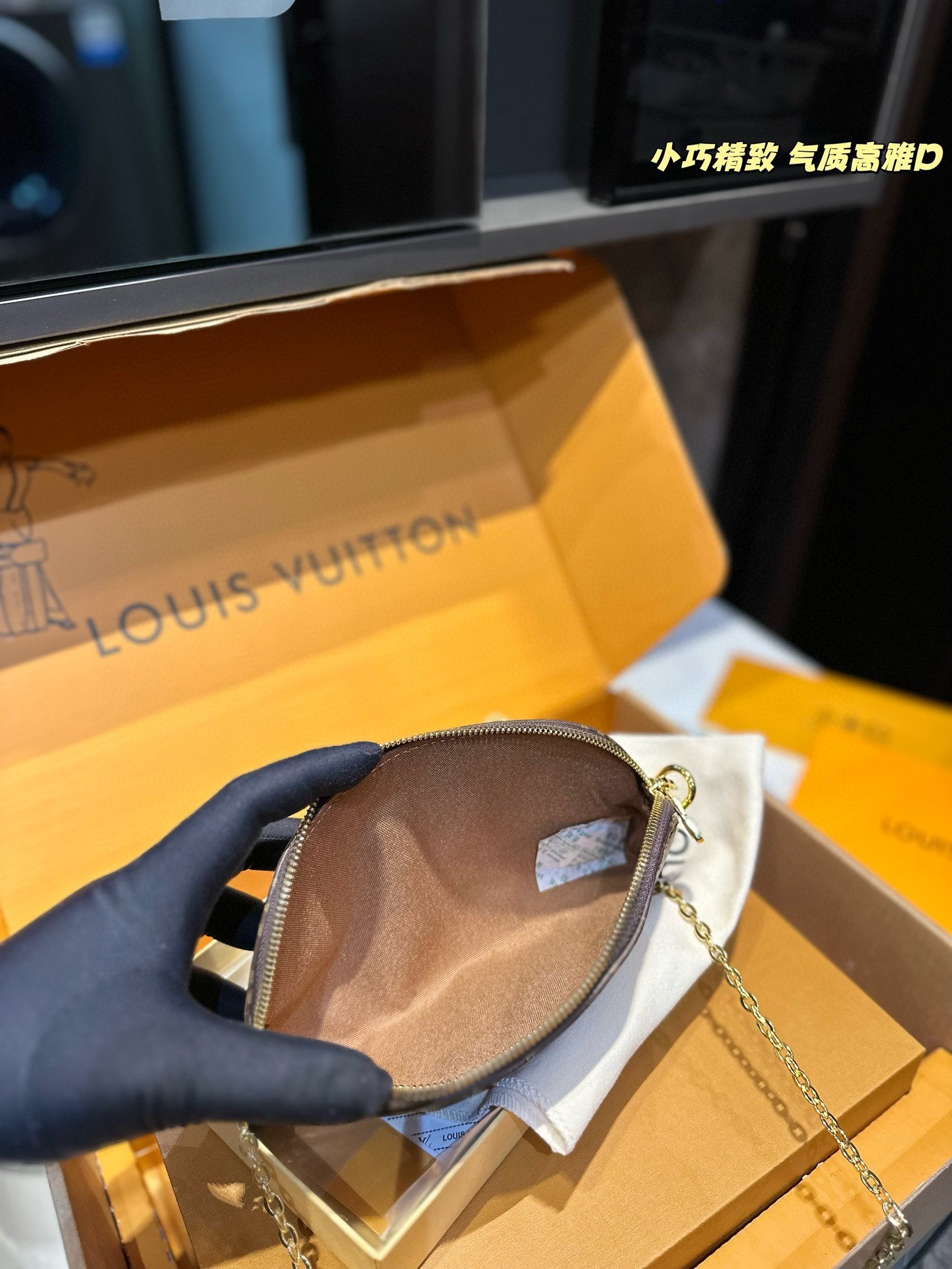 louis-alma-new-arrival-mini-bag-size-24-17-cm-8996