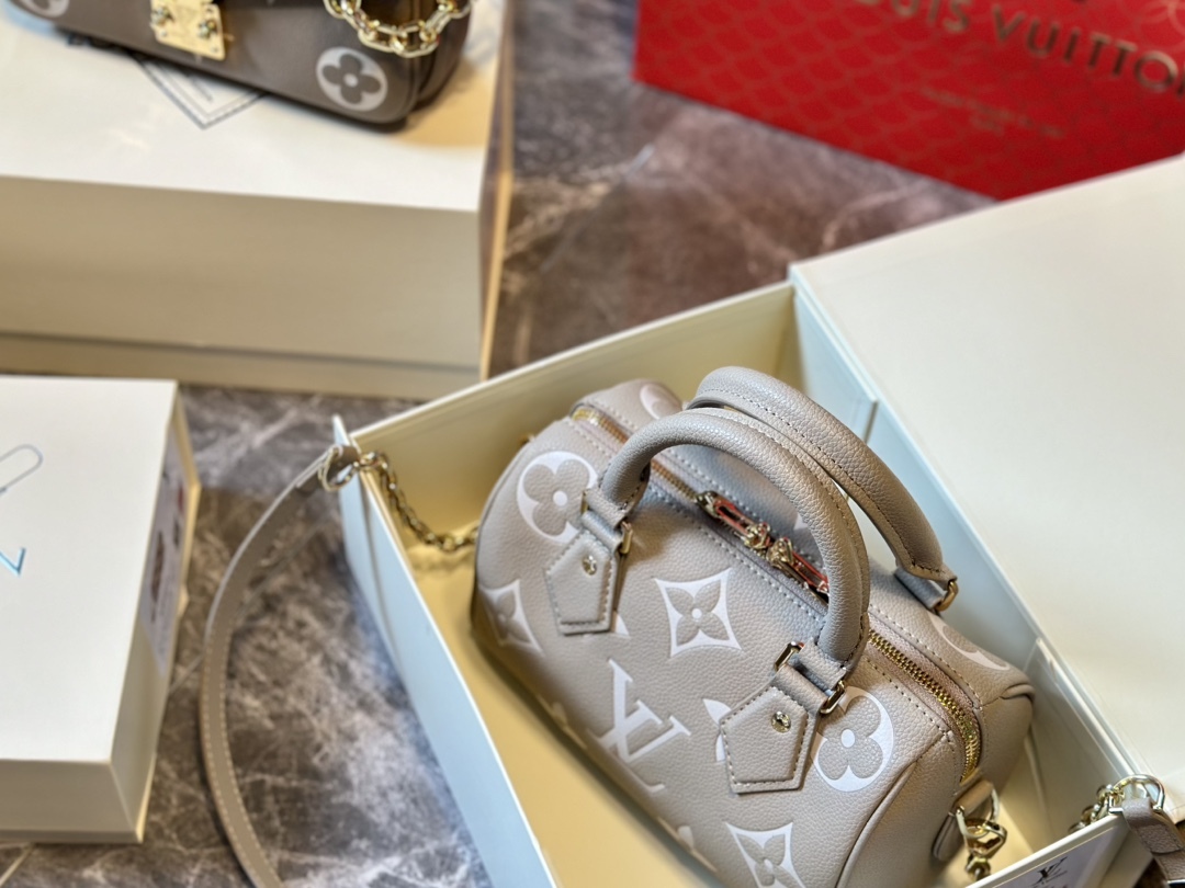 Louis Speedy nano new arrival bag size: 20 cm