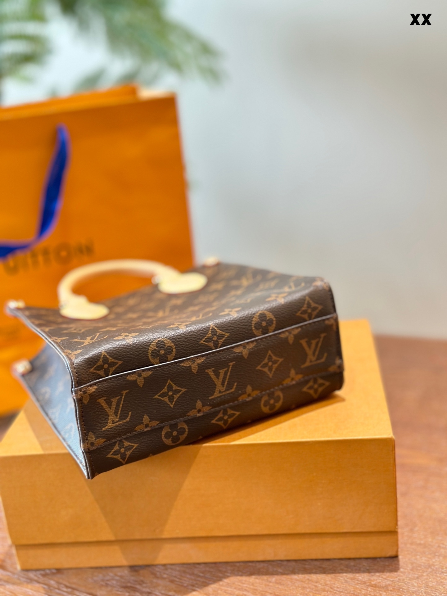 Louis new arrival bag size: 20*24 cm