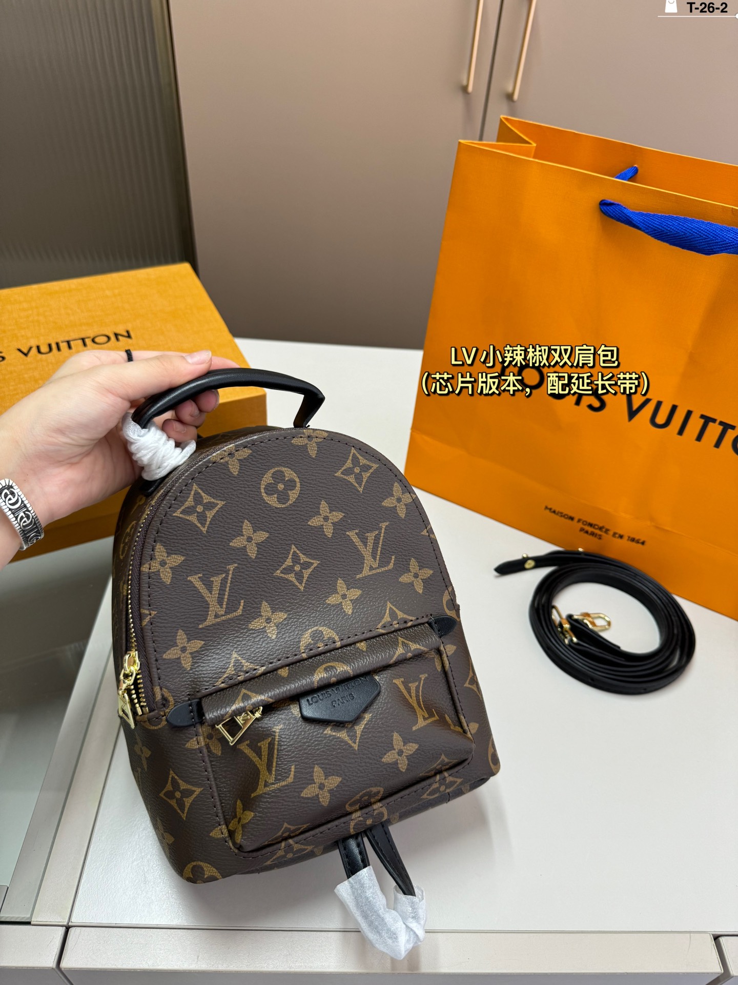 louis-new-arrival-mini-backpack-bag-size-16-20-cm-5905