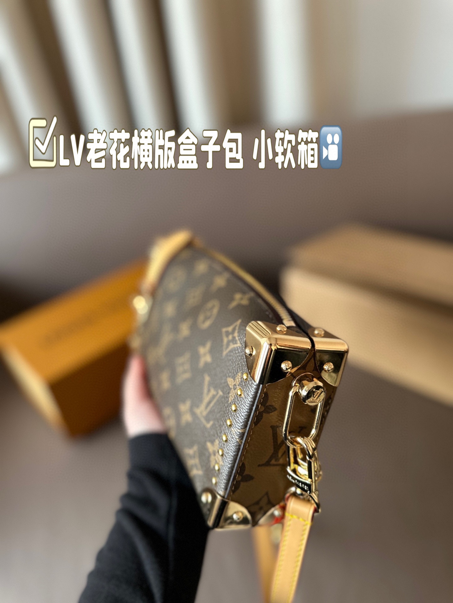 Louis new arrival Side Trunk bag size: 23*11 cm