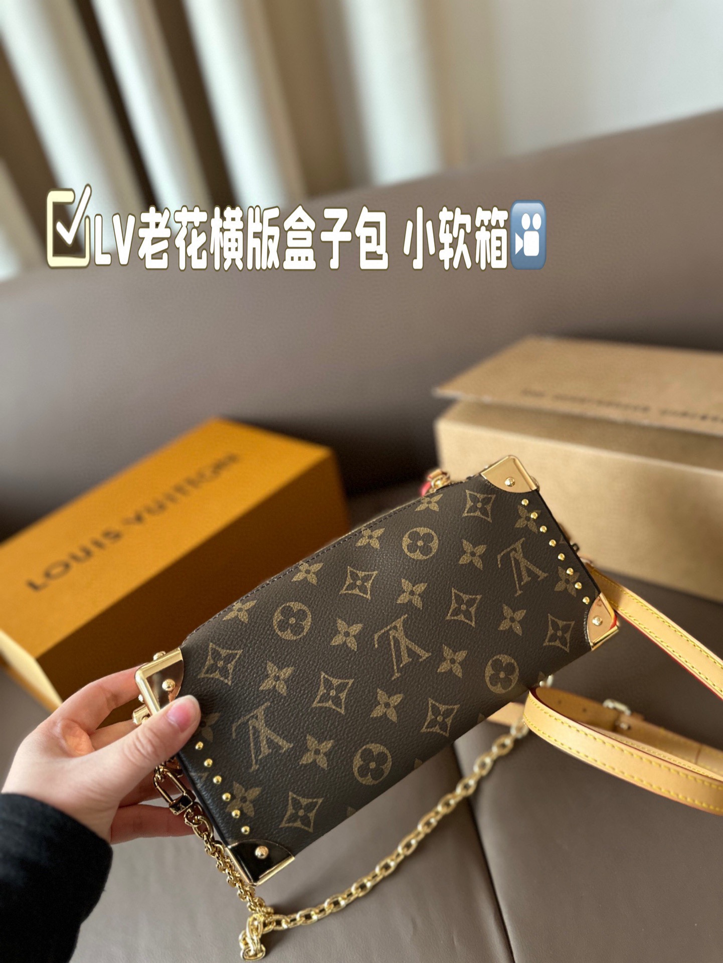 Louis new arrival Side Trunk bag size: 23*11 cm
