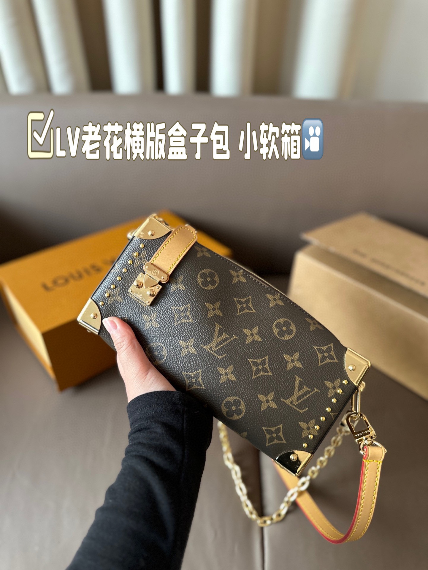 Louis new arrival Side Trunk bag size: 23*11 cm