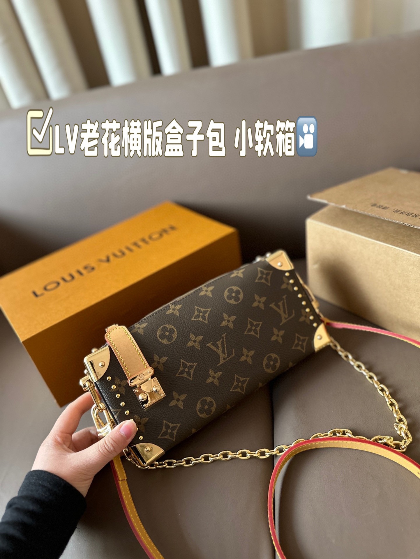 Louis new arrival Side Trunk bag size: 23*11 cm