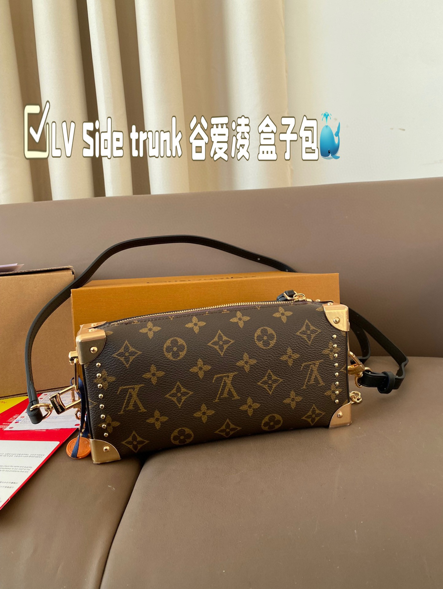 Louis new arrival 2025 Side trunk bag size:  23*12 cm