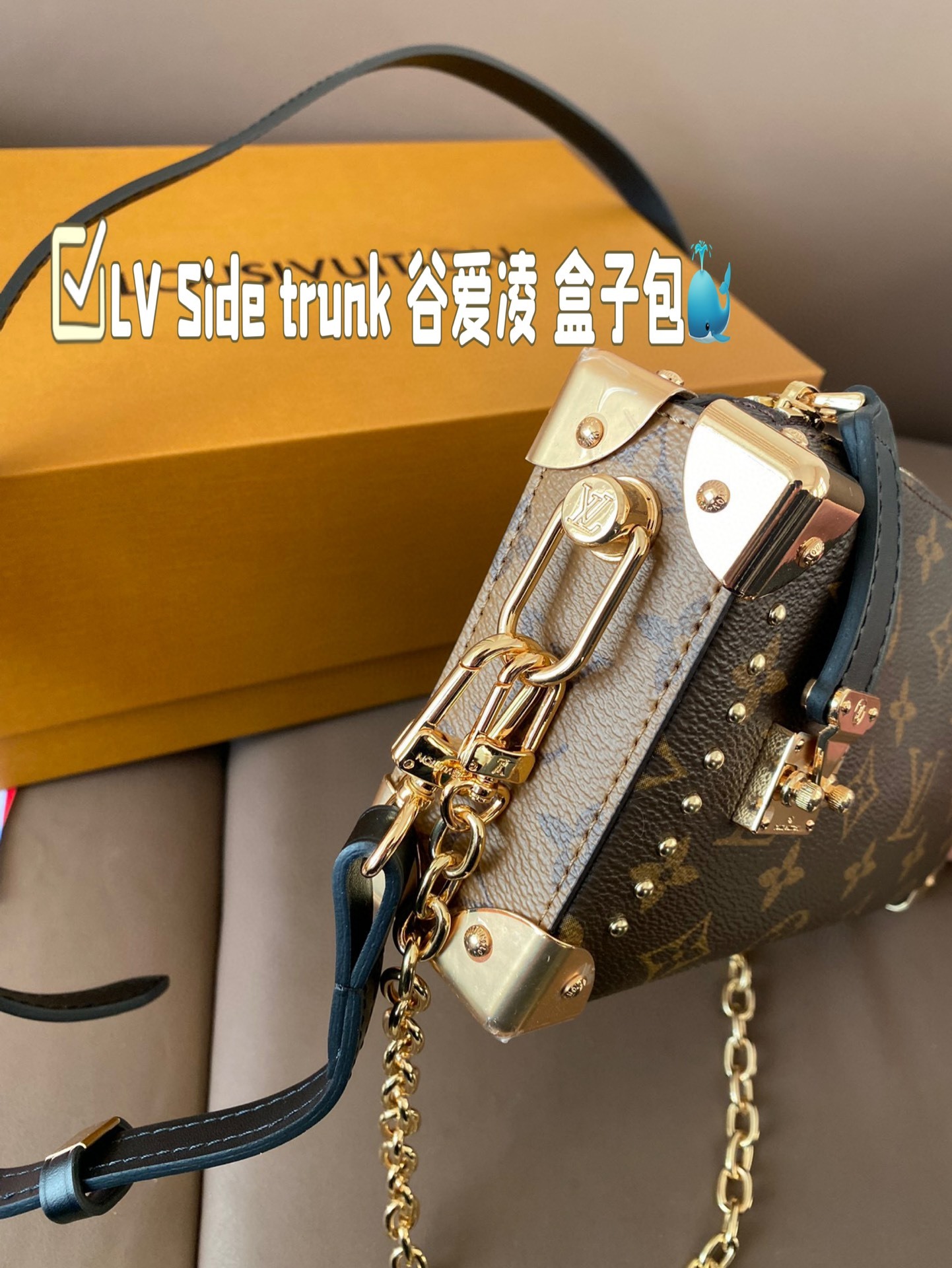 Louis new arrival 2025 Side trunk bag size:  23*12 cm