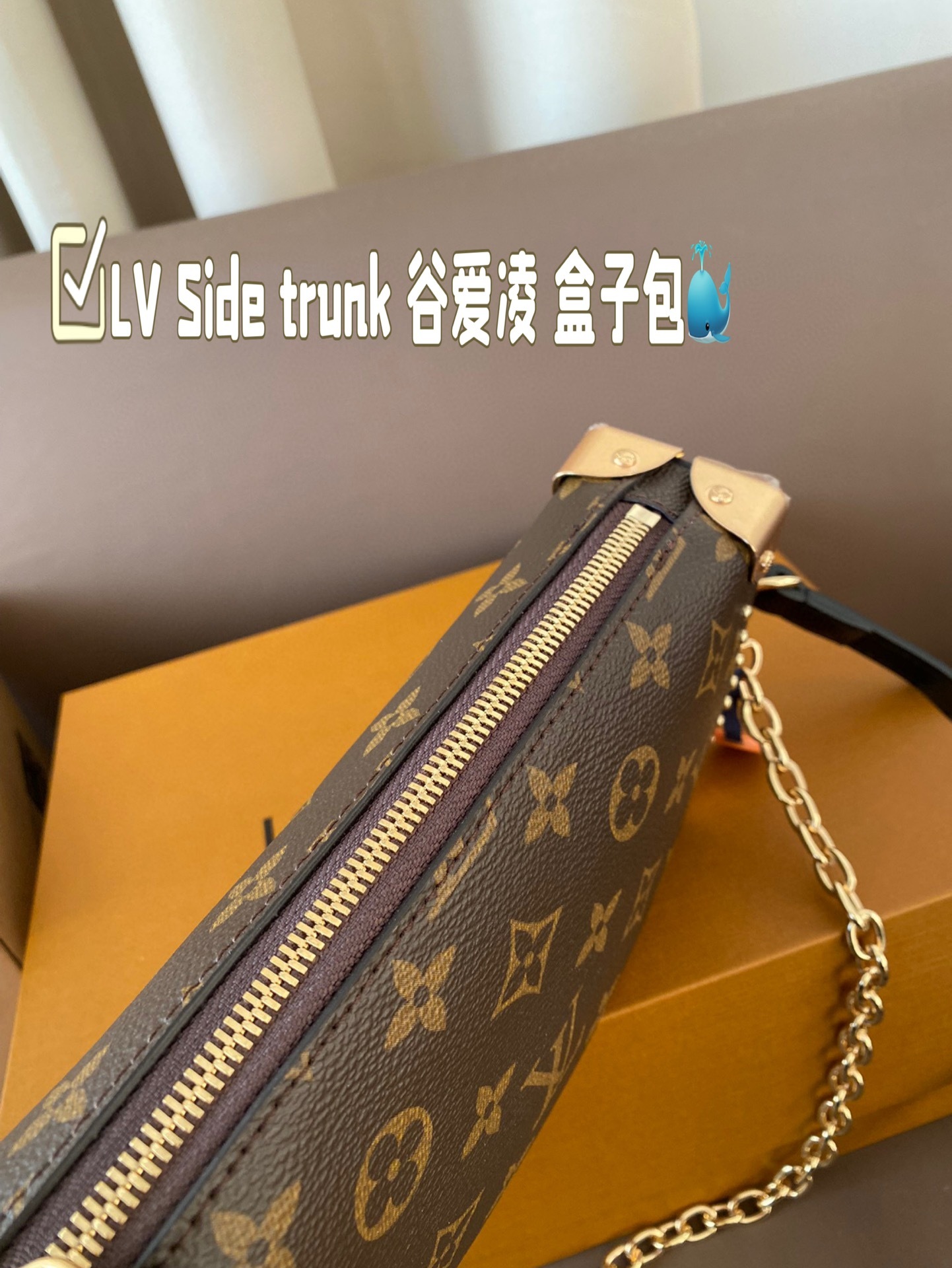 Louis new arrival 2025 Side trunk bag size:  23*12 cm