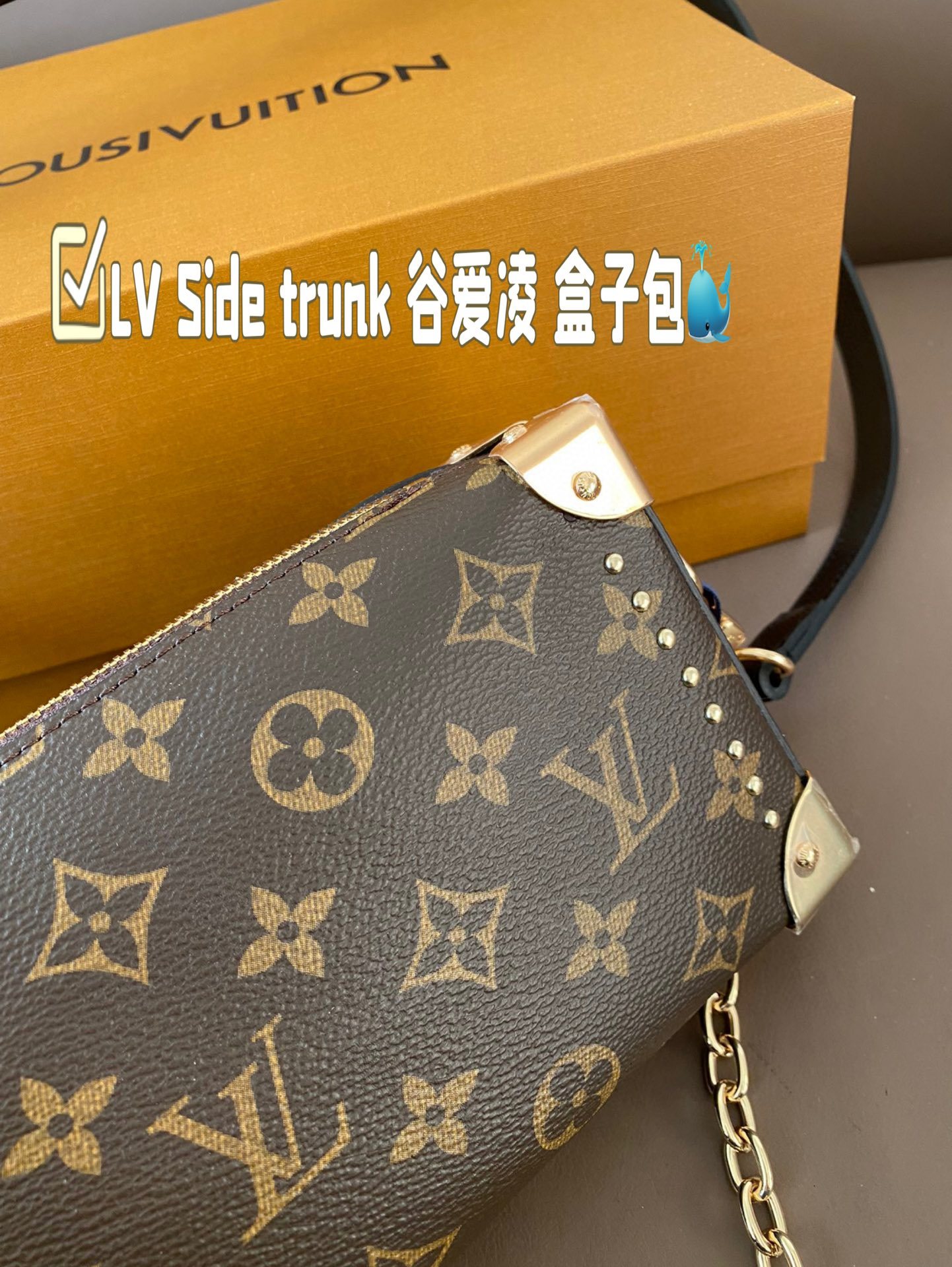 Louis new arrival 2025 Side trunk bag size:  23*12 cm