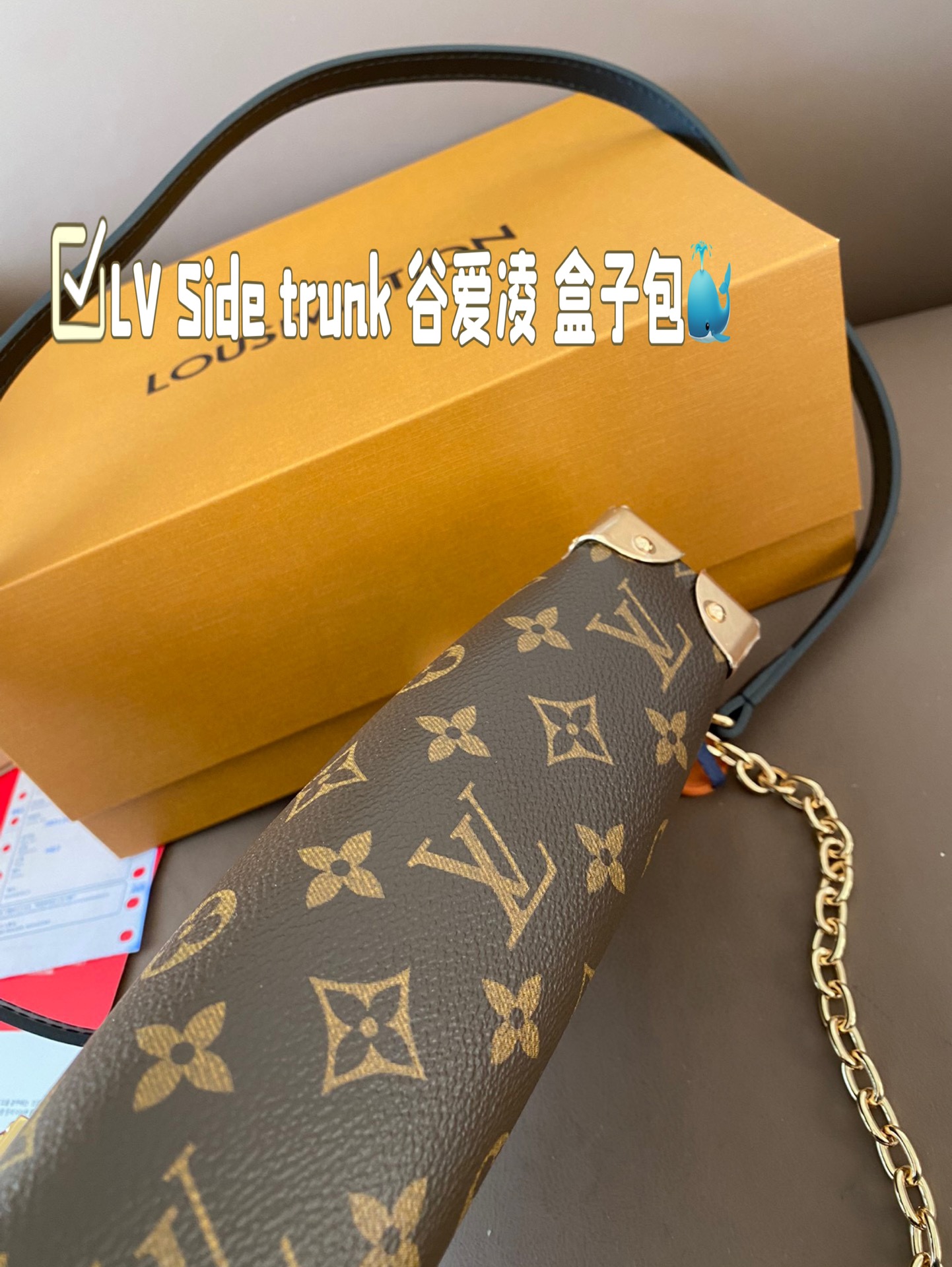 Louis new arrival 2025 Side trunk bag size:  23*12 cm