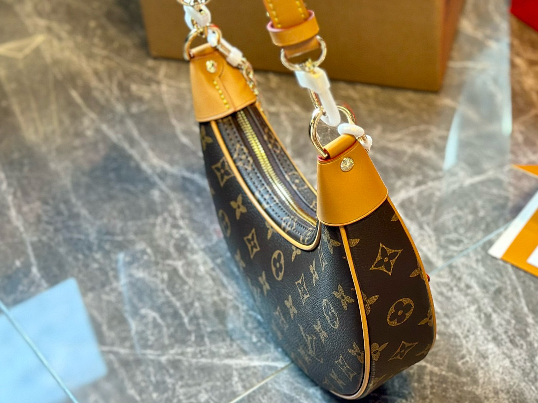 Louis new arrival Loop bag size: 23*13*6 cm