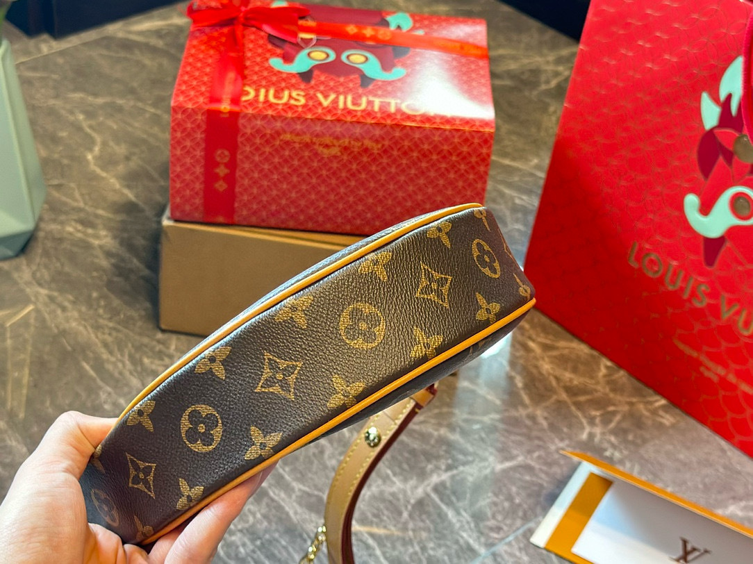 Louis new arrival Loop bag size: 23*13*6 cm