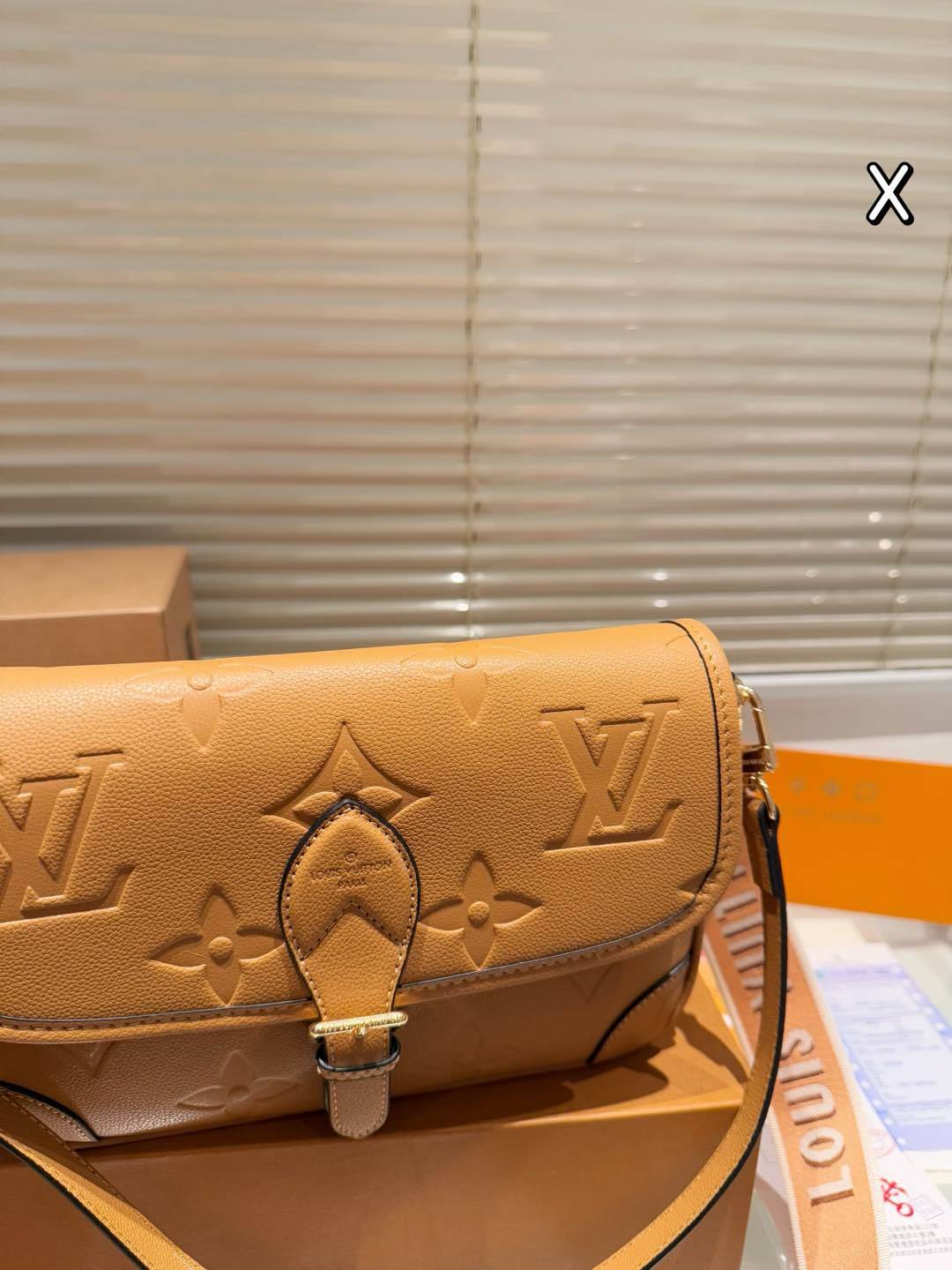 Louis new arrival Diane bag size: 25*15 cm