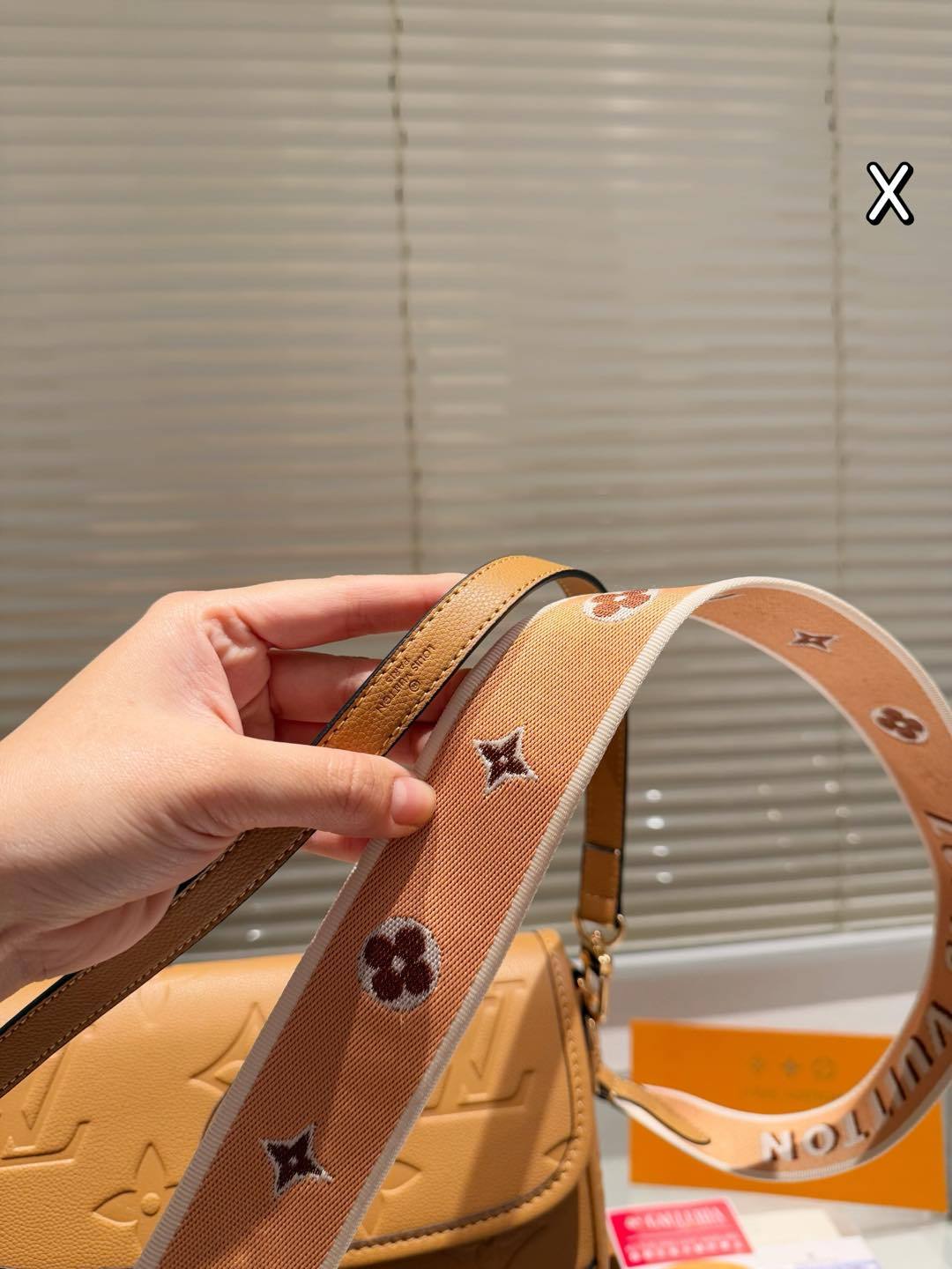 Louis new arrival Diane bag size: 25*15 cm