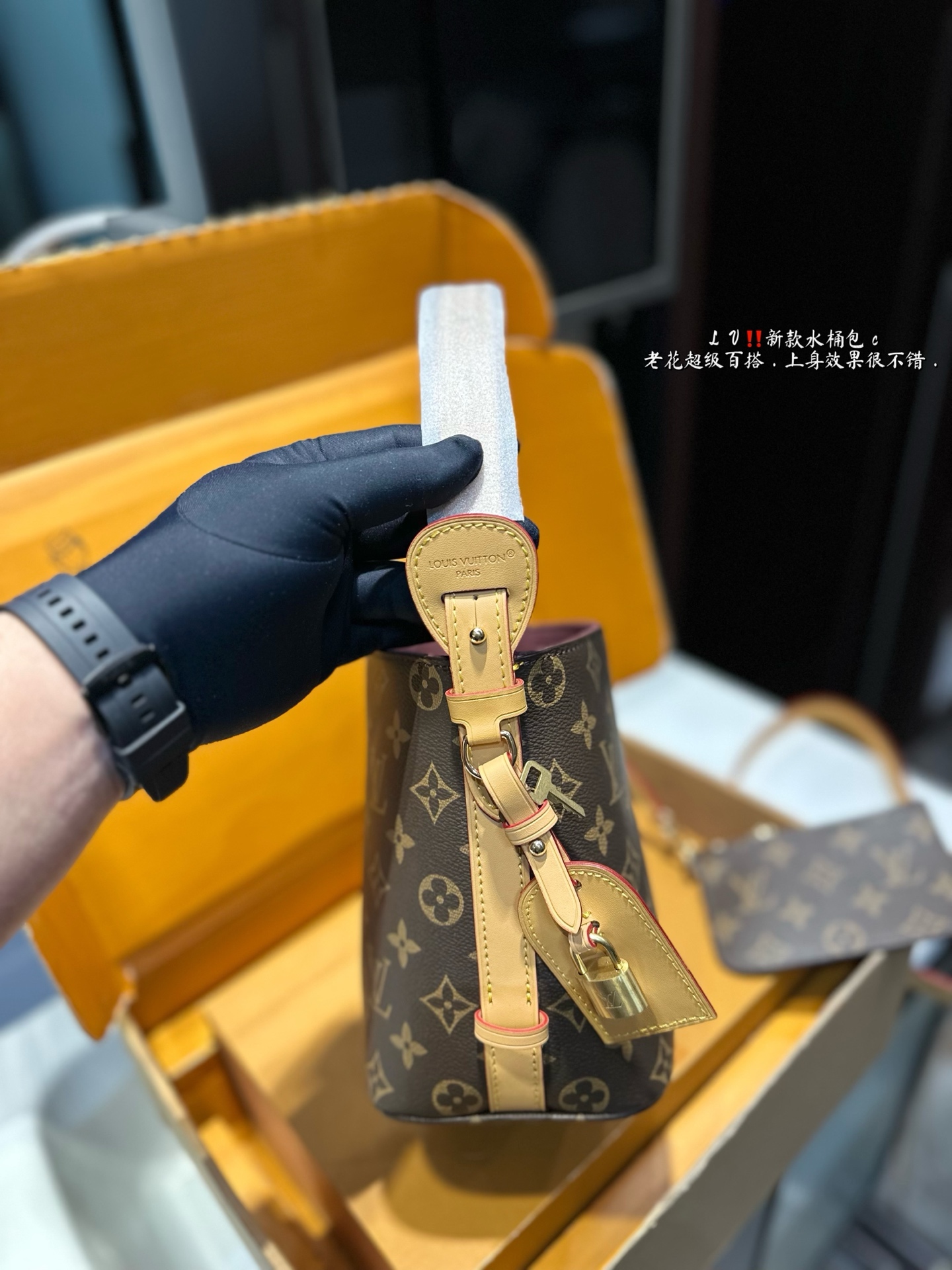 Louis new arrival ALL IN BB bucket bag size:17 * 18.5 cm