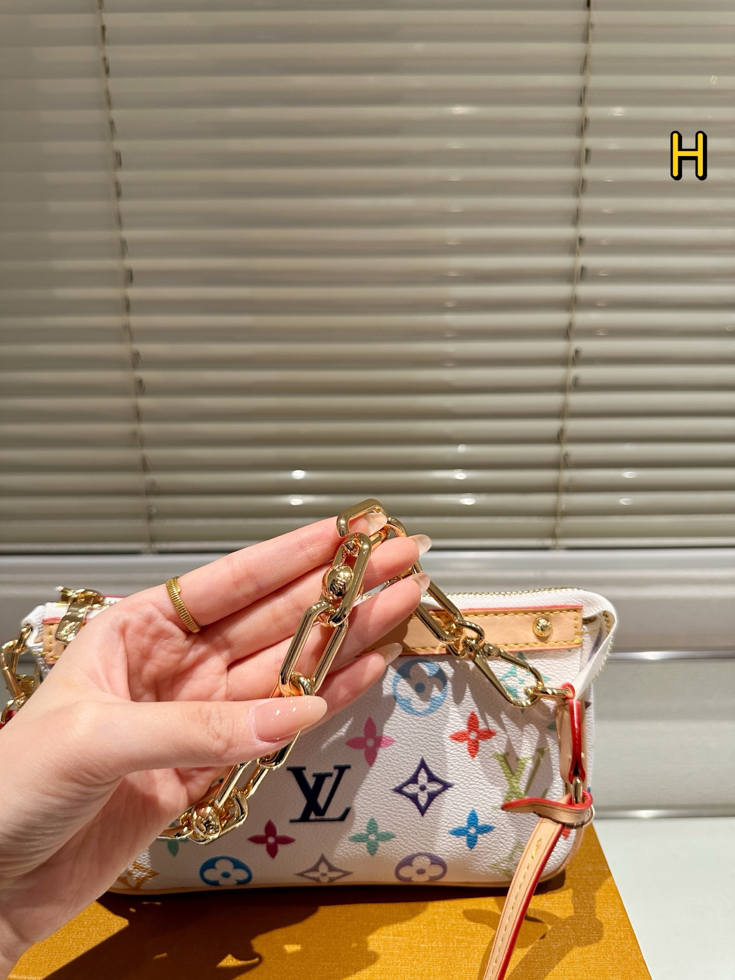 Louis new arrival hobo bag size: 21*12 cm