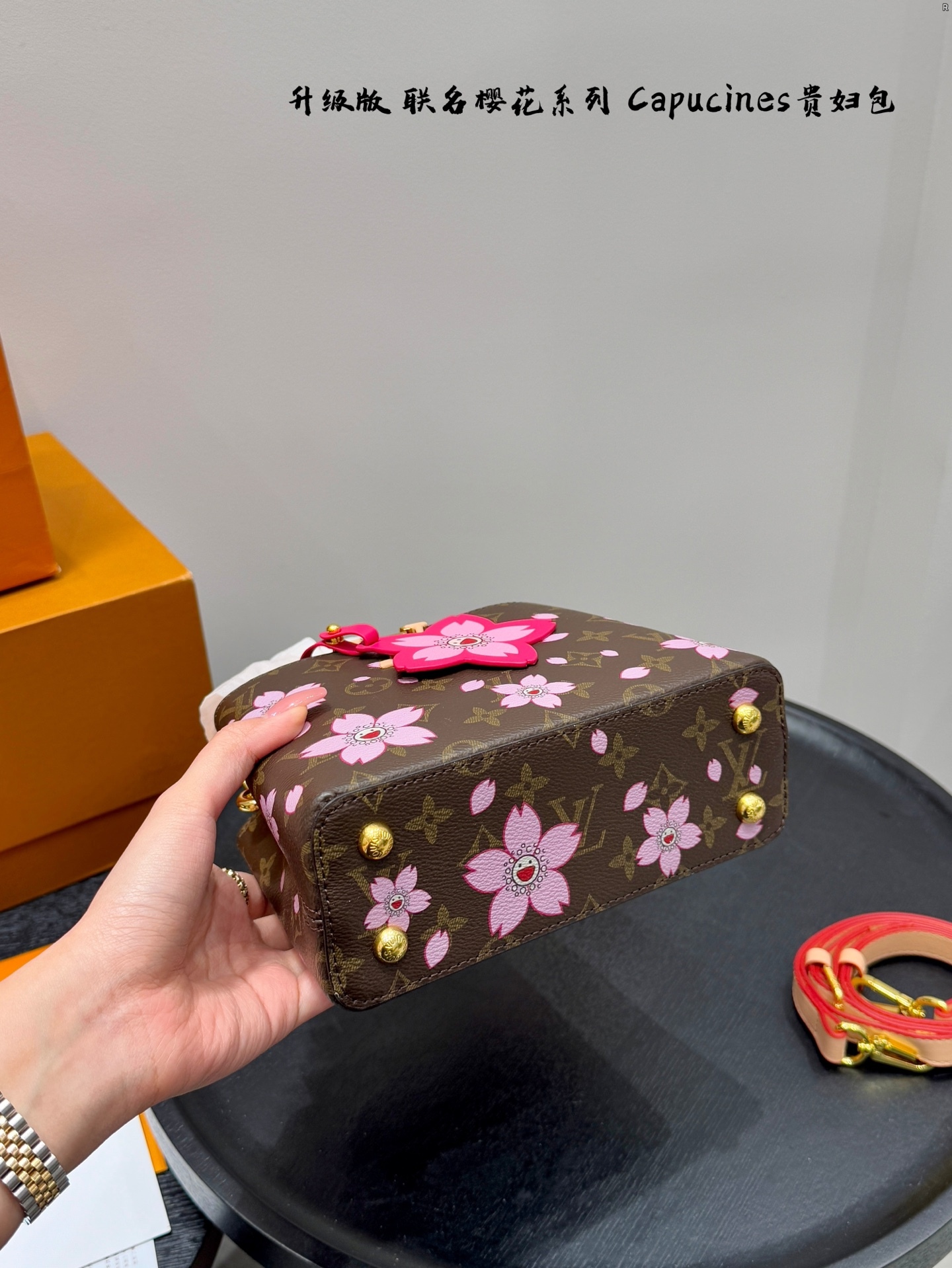 louis-capucines-new-arrival-bag-06-252