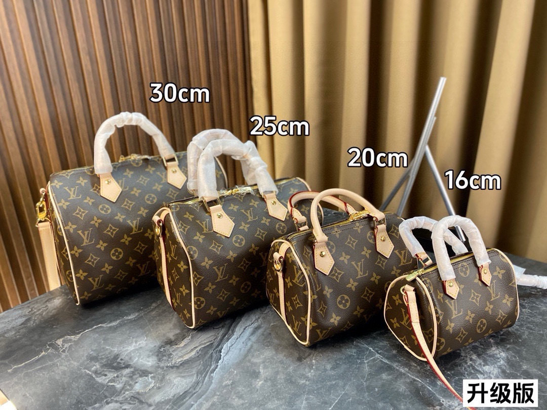 louis-new-arrival-25ss-speedy-bag-6372