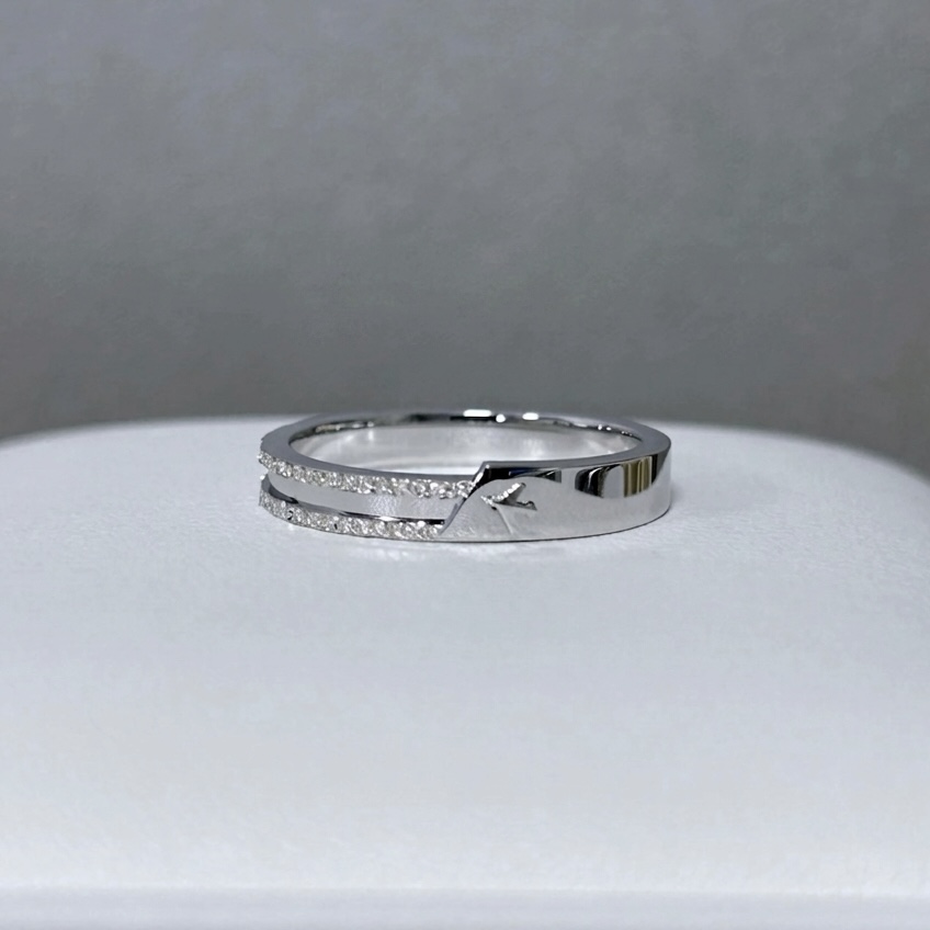 Level 100 Affinity Matching Ring | S925 Sterling Silver Platinum-Plated with Moissanite