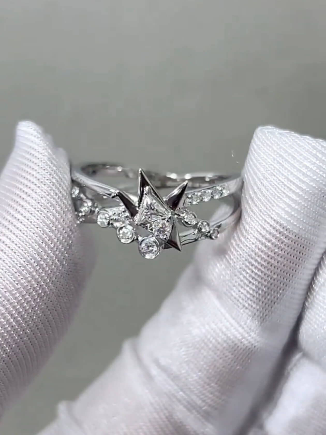 Returning Crane | Ring Set | 925 Silver Platinum-Plated Moissanite