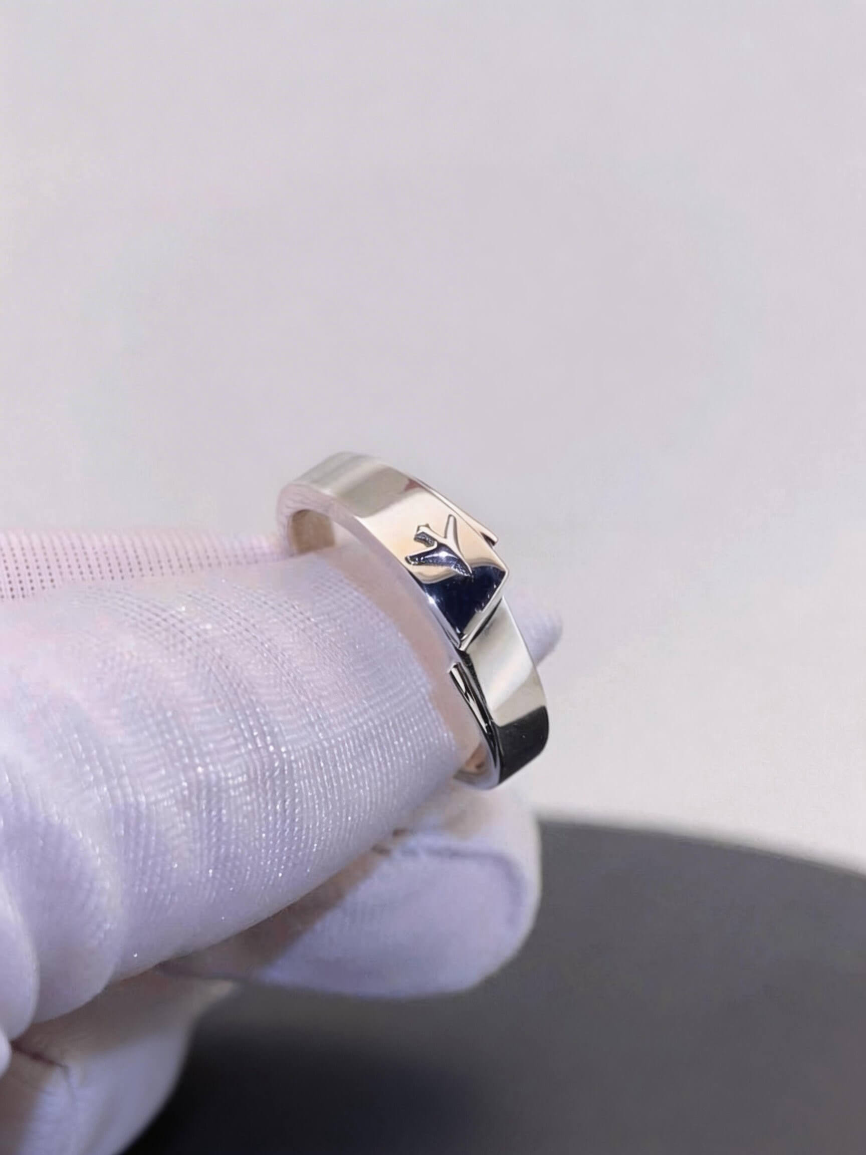 Cloudward Vows | Airplane Couple Ring Set  | 925 Silver Platinum-Plated