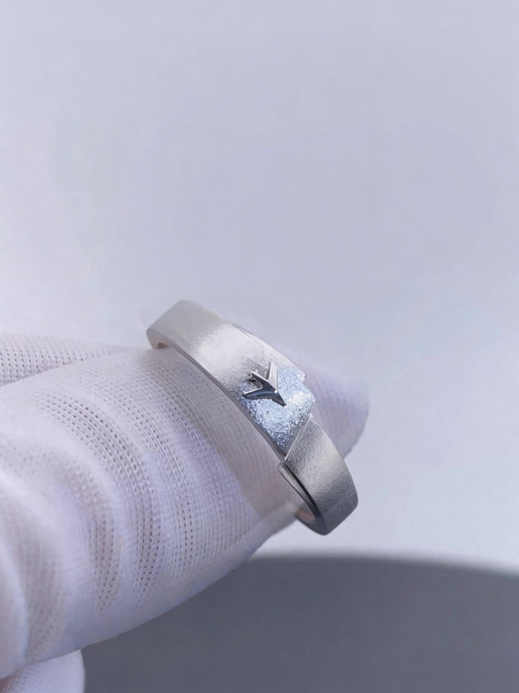 Cloudward Vows | Airplane Couple Ring Set  | 925 Silver Platinum-Plated