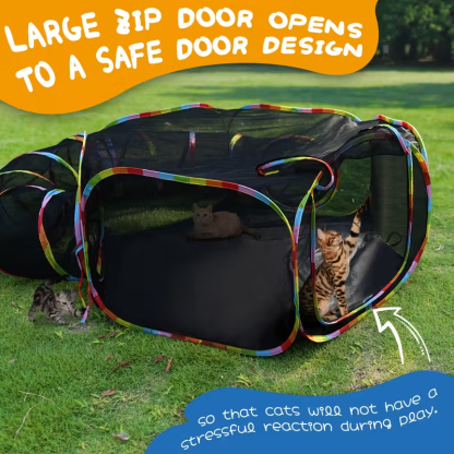 Outdoor Cat Enclosure