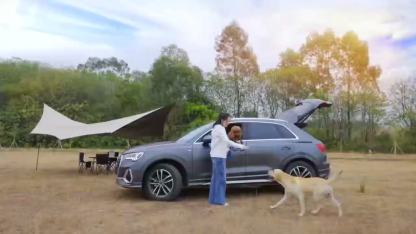 Dog Backseat Expander