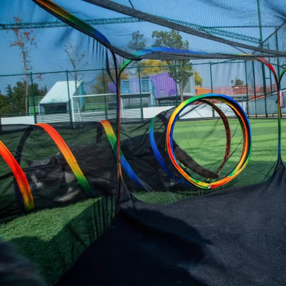 Outdoor Cat Enclosure