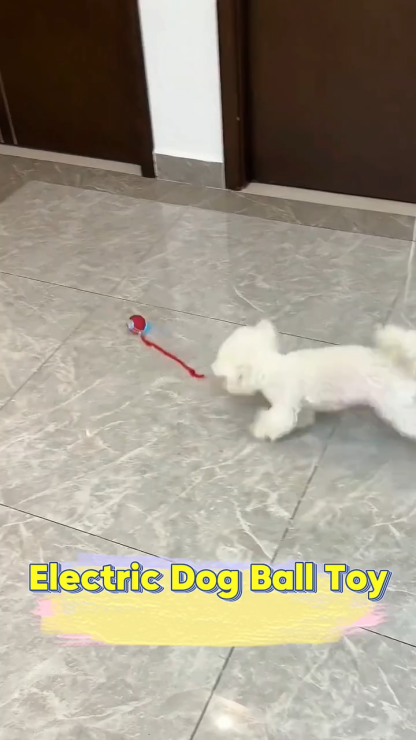 Automatic Rolling Ball Smart Cat Dog Toy
