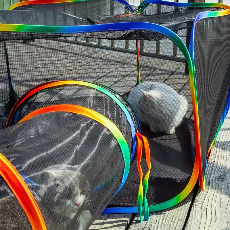 Outdoor Cat Enclosure