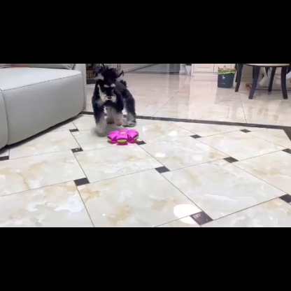 Interactive Dog Ball with & Flying Saucer Motion