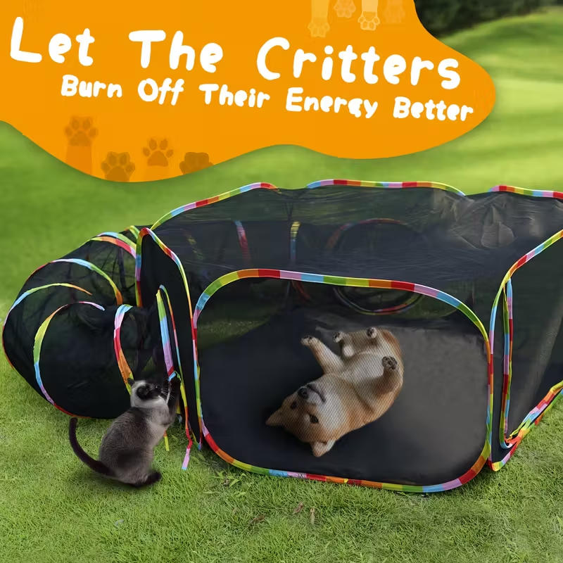 Outdoor Cat Enclosure