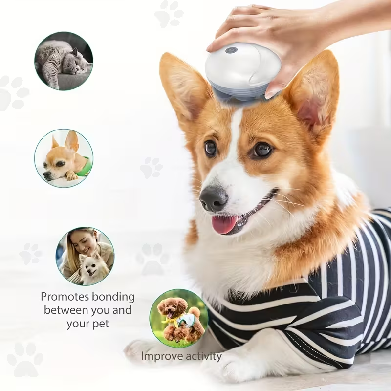 Pet Massager