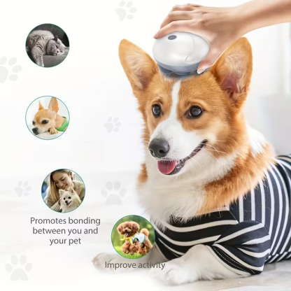 Pet Massager