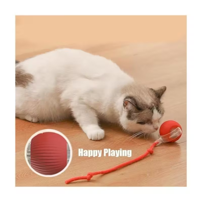 Automatic Rolling Ball Smart Cat Dog Toy
