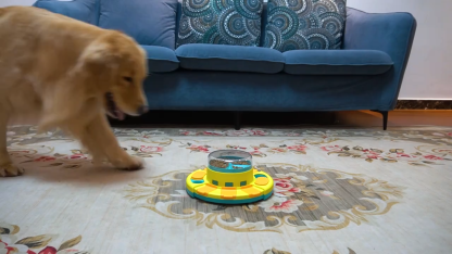 Dog Puzzle Toys Slow Feeder