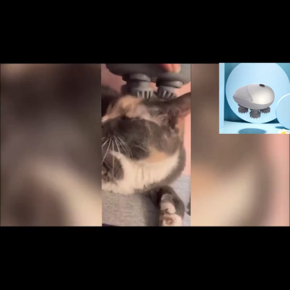Pet Massager