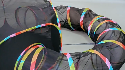 Outdoor Cat Enclosure